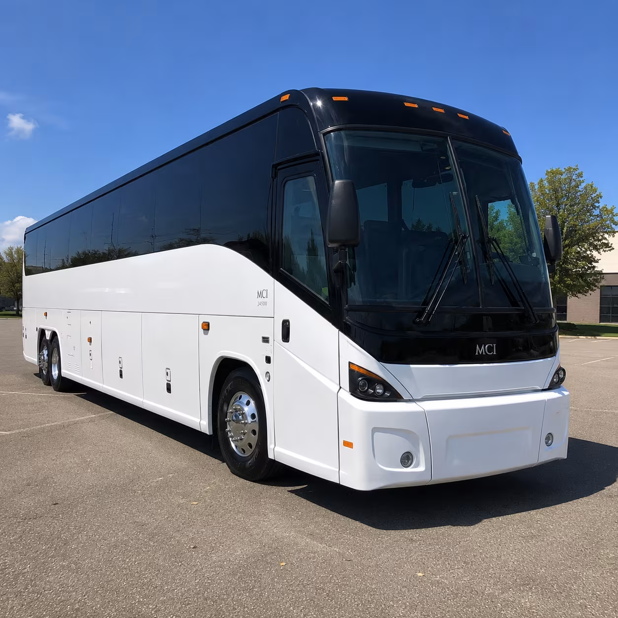 tampa 45 passenger charter bus