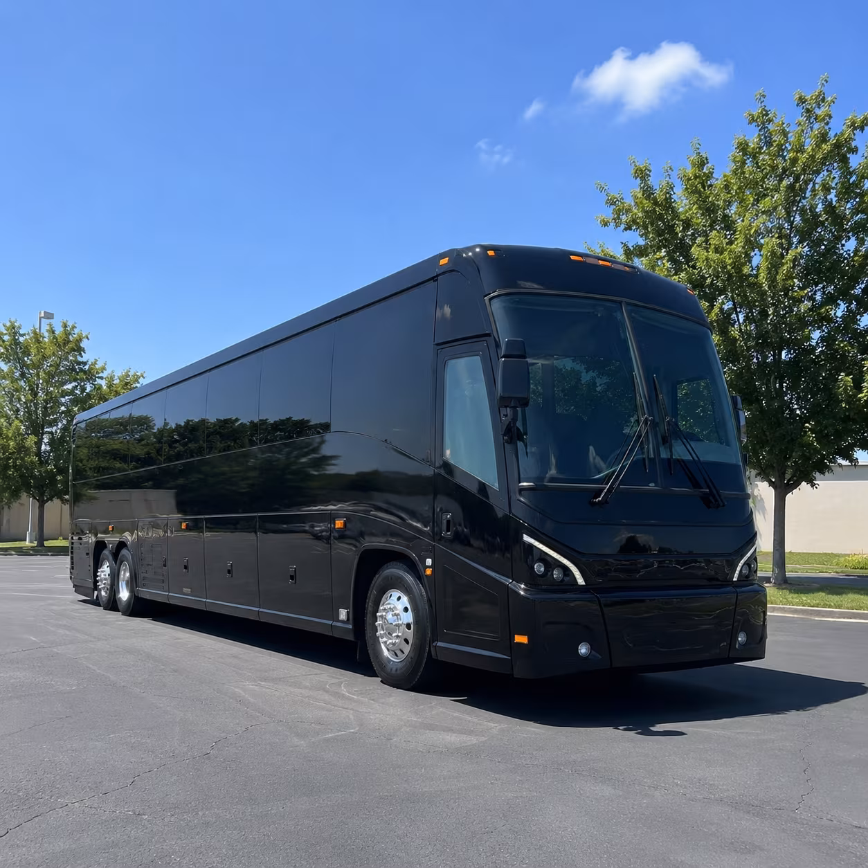 tampa 56 passenger charter bus
