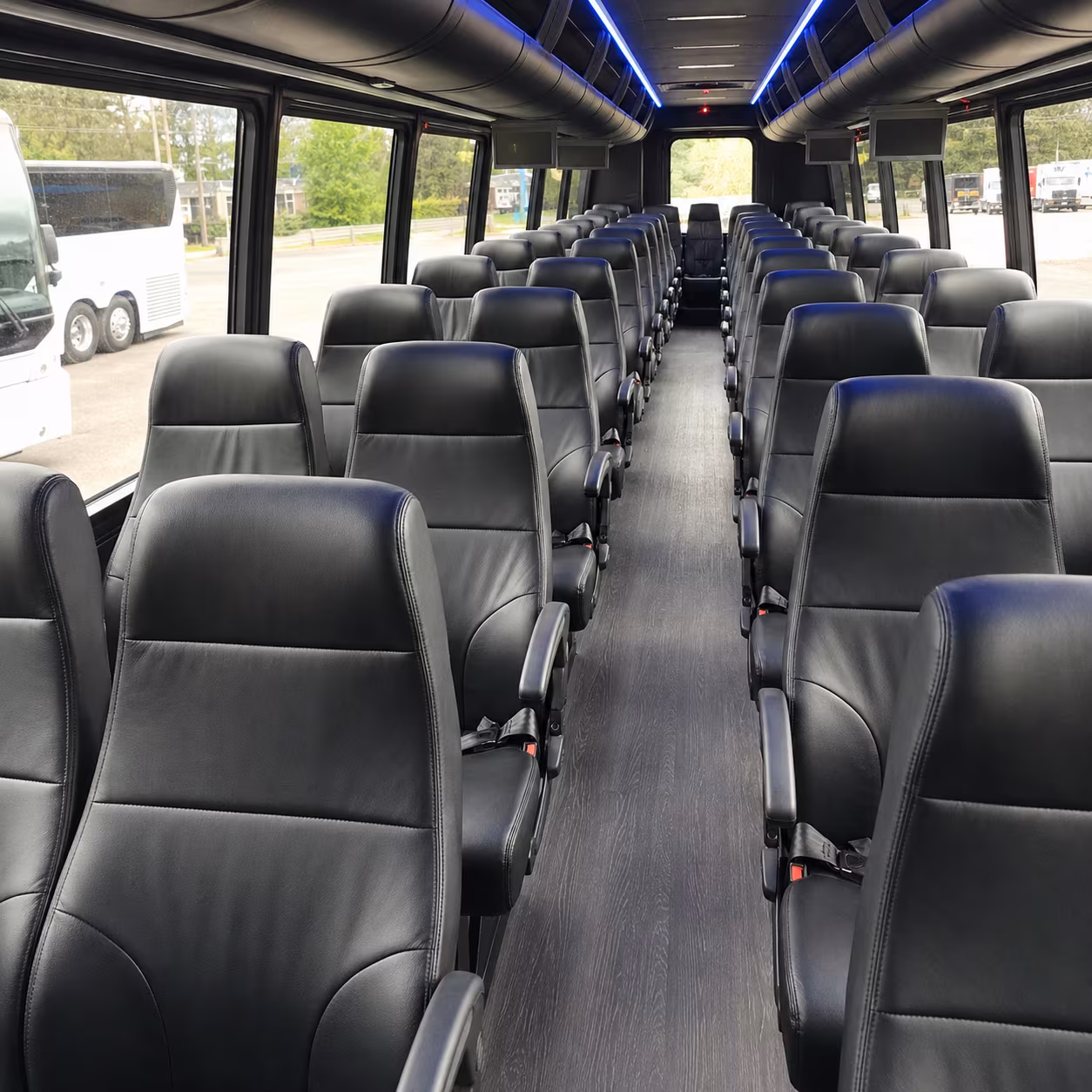 tampa birthday party transportation