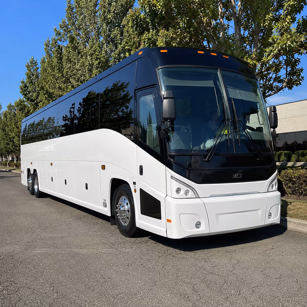 tampa sporting event transportation onboard seating